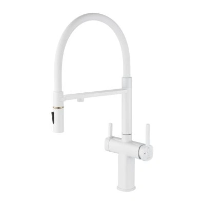 Смеситель для кухни с гибким изливом Rose R358C