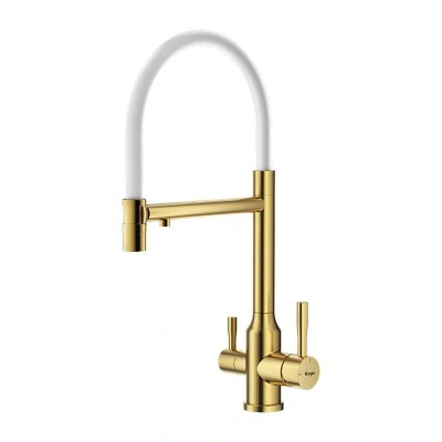 Смеситель для кухни с гибким изливом Raglo R81.63.03