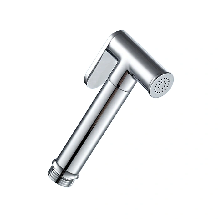 Гигиеническая лейка Frap F21