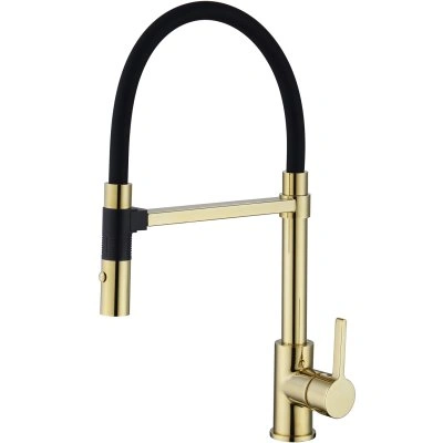 Смеситель для кухни с гибким изливом Rose R133E