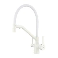 Смеситель для кухни с гибким изливом Raglo R80.62.08