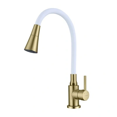 Смеситель для кухни с гибким изливом Splenka S201.4308.03