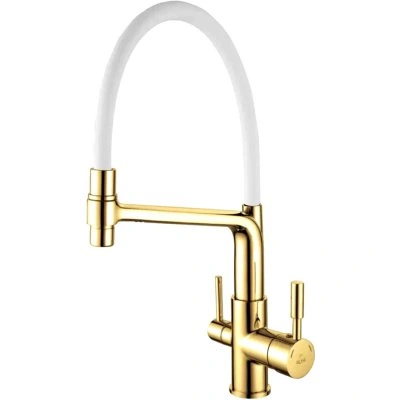 Смеситель для кухни с гибким изливом Rose R658E