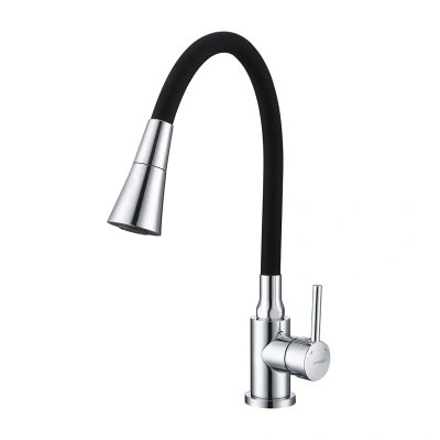 Смеситель для кухни с гибким изливом Splenka S201.4306